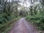 Trail to camp Machame