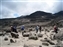 Trail over Lava Rock to Barranco camp