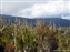 Plants on the Machame Trail